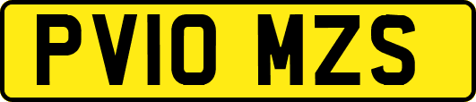 PV10MZS
