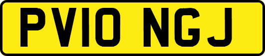 PV10NGJ