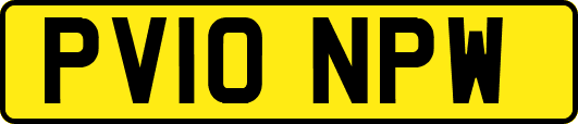PV10NPW