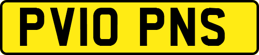 PV10PNS