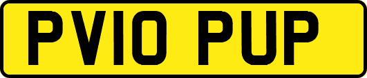 PV10PUP