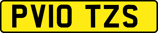 PV10TZS