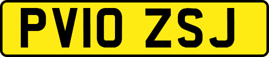 PV10ZSJ