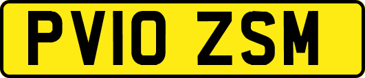 PV10ZSM