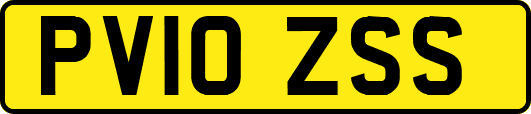 PV10ZSS