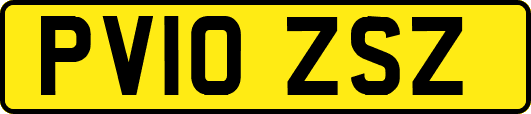 PV10ZSZ
