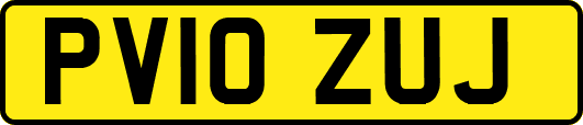 PV10ZUJ