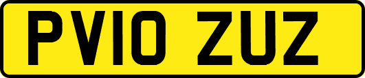 PV10ZUZ