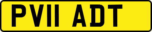 PV11ADT