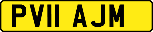 PV11AJM