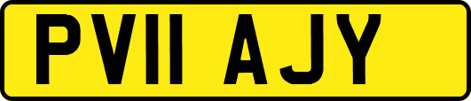 PV11AJY
