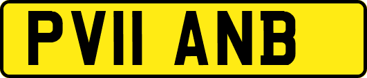 PV11ANB