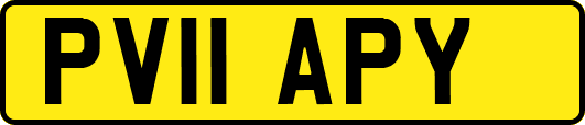 PV11APY