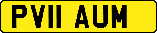 PV11AUM