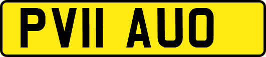 PV11AUO