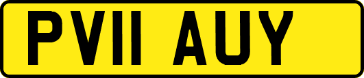 PV11AUY