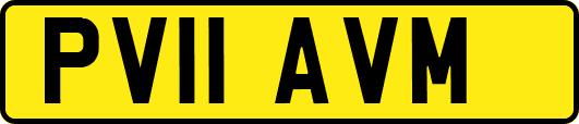 PV11AVM