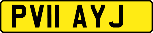 PV11AYJ