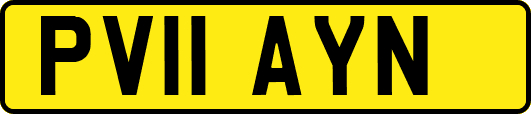 PV11AYN