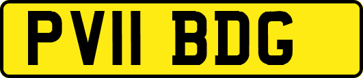 PV11BDG