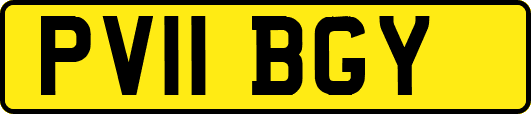 PV11BGY
