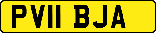PV11BJA