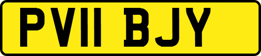 PV11BJY