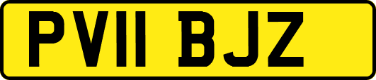 PV11BJZ