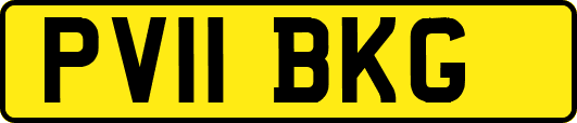 PV11BKG