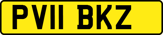 PV11BKZ