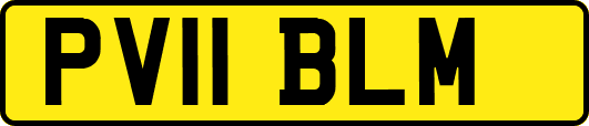 PV11BLM