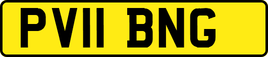 PV11BNG