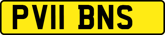 PV11BNS