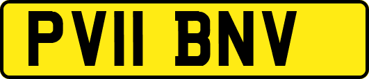 PV11BNV