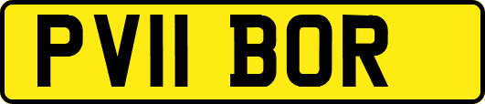 PV11BOR