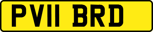 PV11BRD