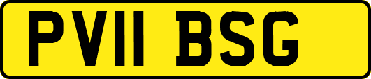 PV11BSG