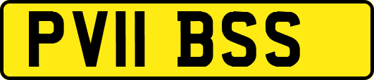 PV11BSS