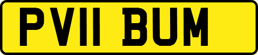 PV11BUM
