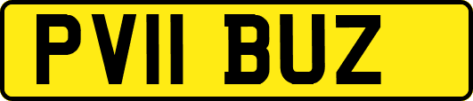 PV11BUZ