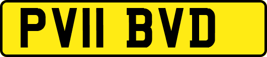 PV11BVD