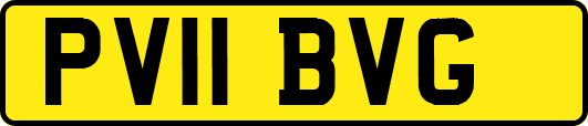 PV11BVG