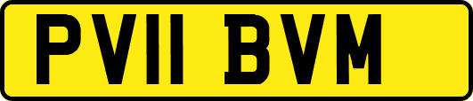 PV11BVM