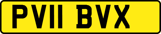 PV11BVX