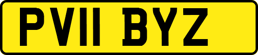 PV11BYZ