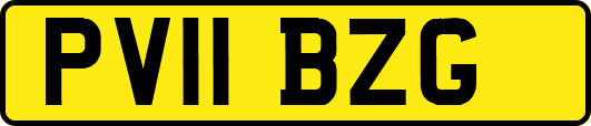 PV11BZG