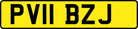 PV11BZJ