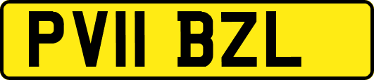 PV11BZL