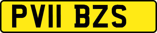 PV11BZS