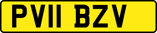 PV11BZV
